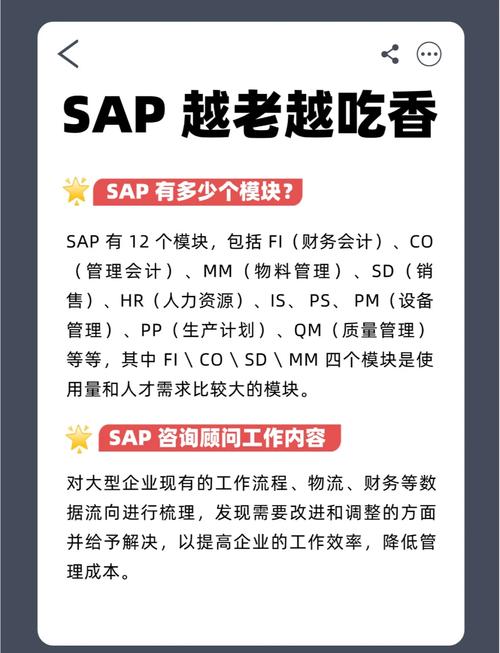 SAP财务命令有哪些常用及操作技巧?-图1 SAP财务命令有哪些常用及操作技巧?-图1