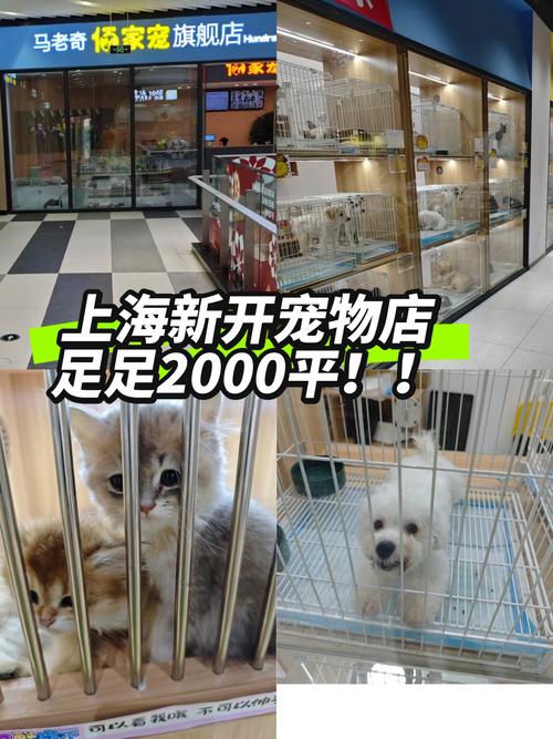 宠物书店盈利模式有哪些?-图2 宠物书店盈利模式有哪些?-图2
