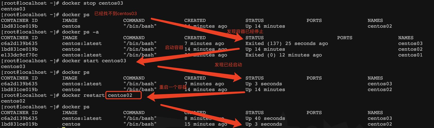 Docker network命令有哪些核心功能与使用场景?-图3 Docker network命令有哪些核心功能与使用场景?-图3