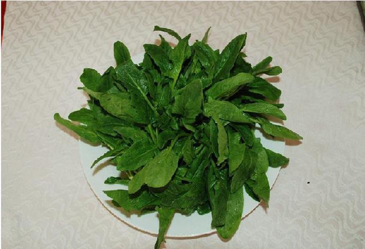 bc菠菜招聘靠谱吗?-图3 bc菠菜招聘靠谱吗?-图3