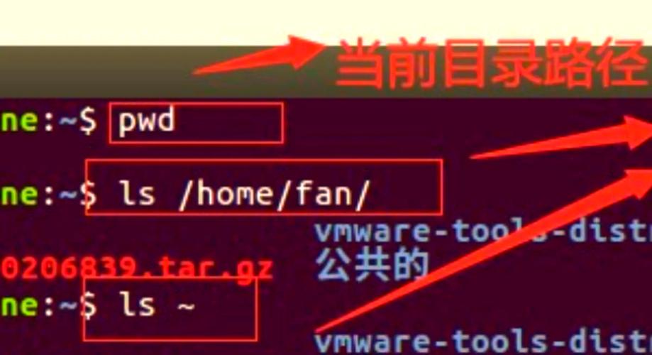 Linux pwd命令显示什么?路径如何解析?-图2 Linux pwd命令显示什么?路径如何解析?-图2