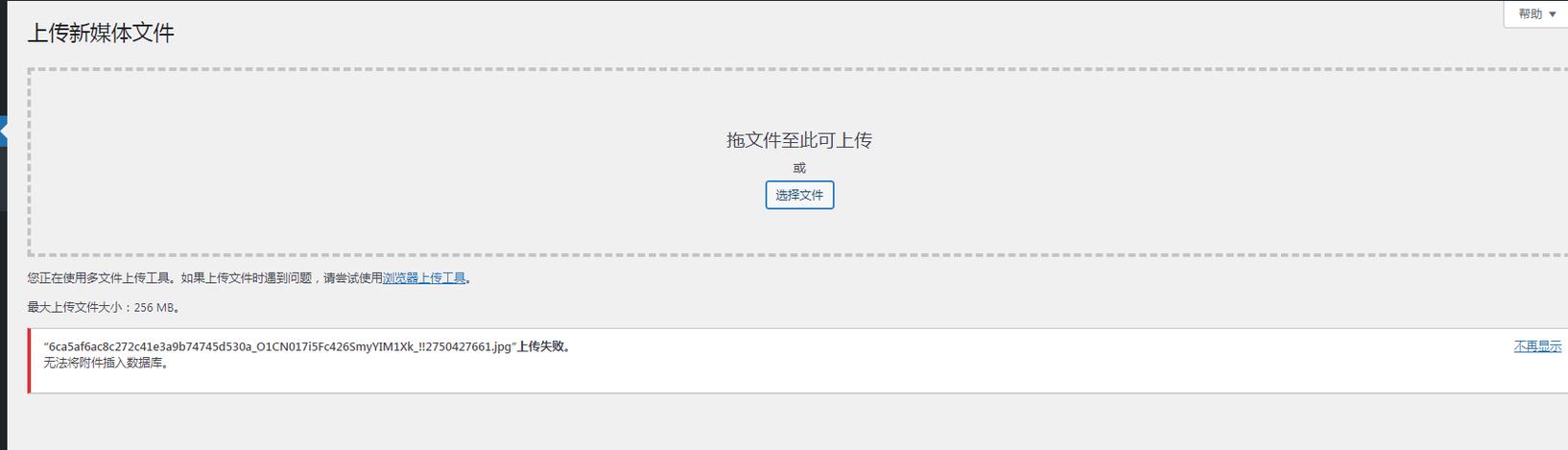 如何再次在网站上传文件?-图2 如何再次在网站上传文件?-图2