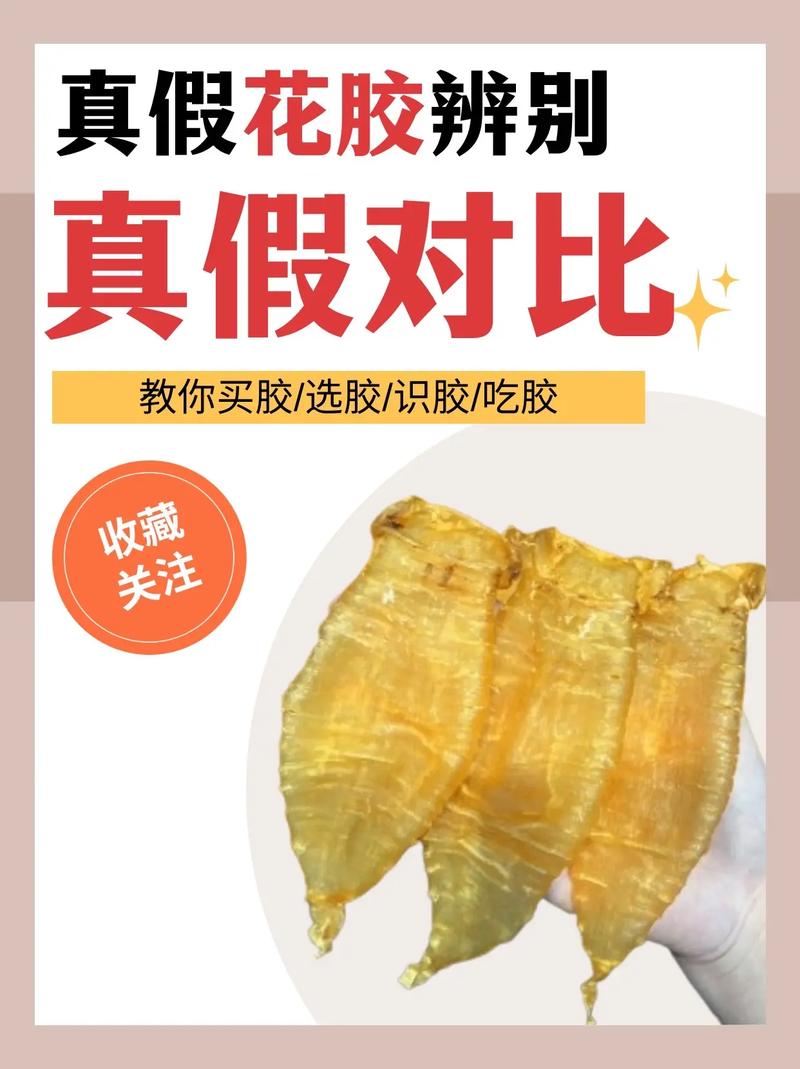 花胶怎么辨真假?-图2 花胶怎么辨真假?-图2