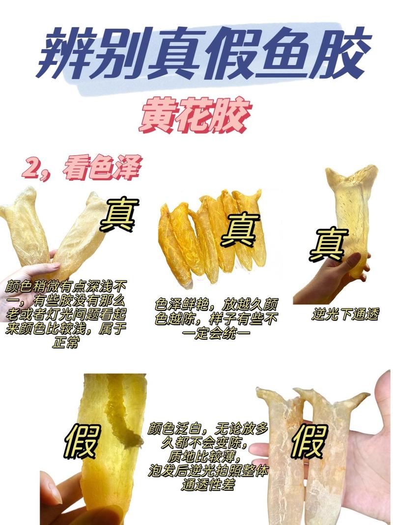 花胶怎么辨真假?-图3 花胶怎么辨真假?-图3