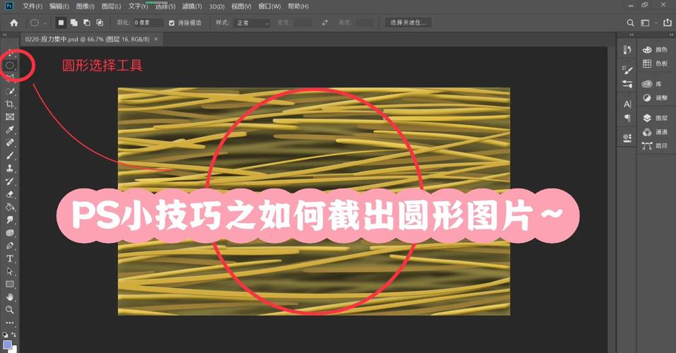 如何用PS制作圆形图标?-图1 如何用PS制作圆形图标?-图1