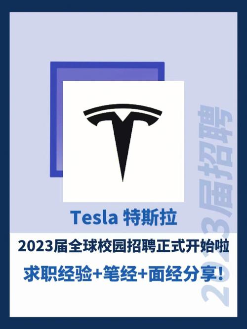 特斯拉徐州招聘,有何特殊要求或亮点?-图2 特斯拉徐州招聘,有何特殊要求或亮点?-图2