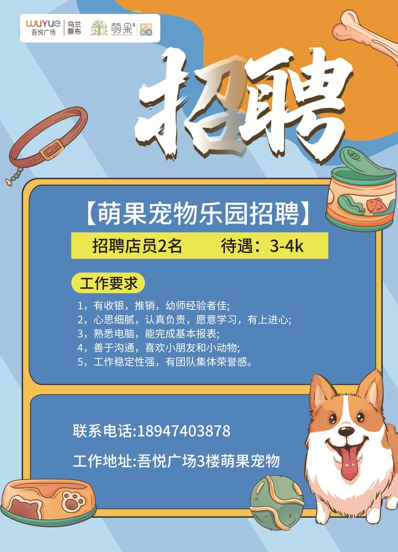 口袋猫招聘,招什么岗位?-图1 口袋猫招聘,招什么岗位?-图1