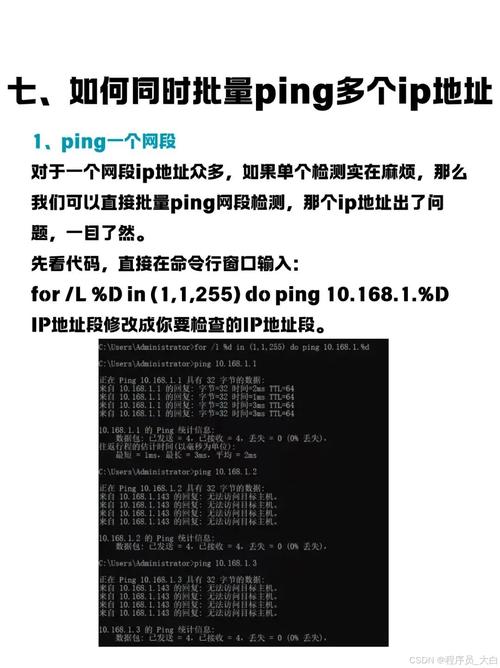 安卓手机如何使用ping命令?-图1 安卓手机如何使用ping命令?-图1