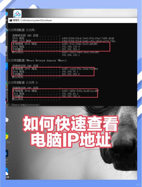 ip反查域名命令有哪些?-图2 ip反查域名命令有哪些?-图2