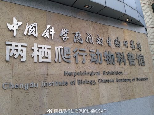 成都爬虫招聘要求高吗?薪资多少?-图2 成都爬虫招聘要求高吗?薪资多少?-图2