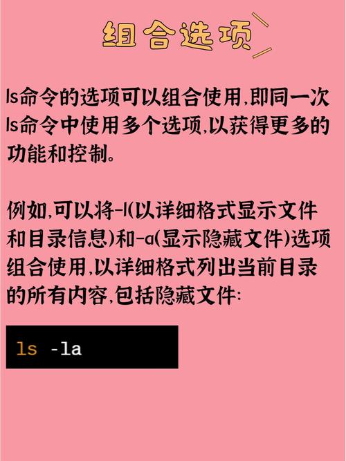 每日一命令,学什么命令?怎么用?-图2 每日一命令,学什么命令?怎么用?-图2