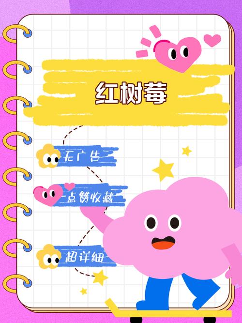 树莓精选招聘，具体岗位和要求是什么？-图3