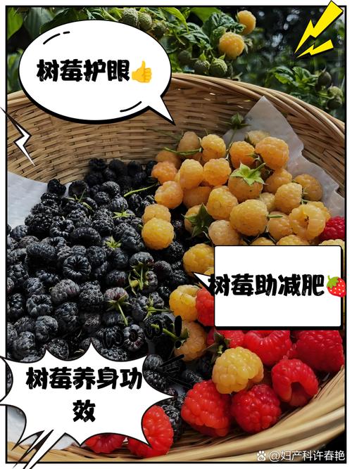 树莓精选招聘，具体岗位和要求是什么？-图1