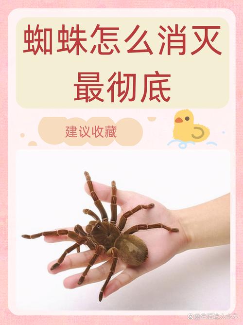 如何快速吸引百度蜘蛛抓取?-图1 如何快速吸引百度蜘蛛抓取?-图1