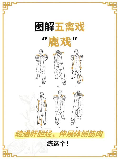 鹿班入池怎么查?-图2 鹿班入池怎么查?-图2