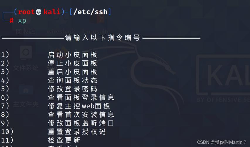 XP系统命令有哪些?-图3 XP系统命令有哪些?-图3