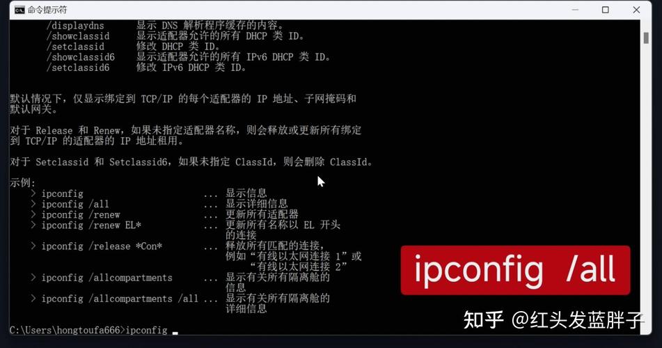 ip host命令如何使用?-图2 ip host命令如何使用?-图2