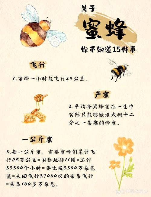 蜜蜂向导为何要招聘?-图2 蜜蜂向导为何要招聘?-图2