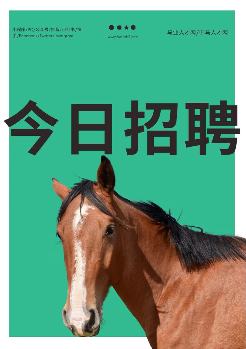 黑马大赛招聘，有哪些岗位值得投递？-图2