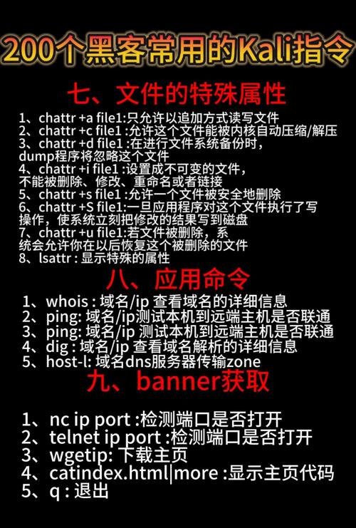 nmap命令大全有哪些常用功能?-图3 nmap命令大全有哪些常用功能?-图3