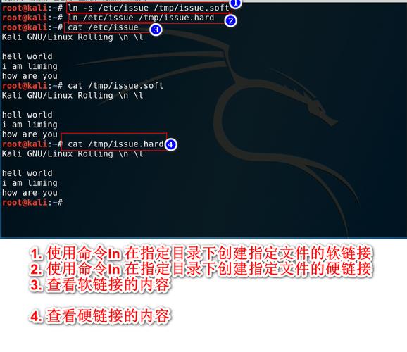 Kali基础命令有哪些必学?-图2 Kali基础命令有哪些必学?-图2