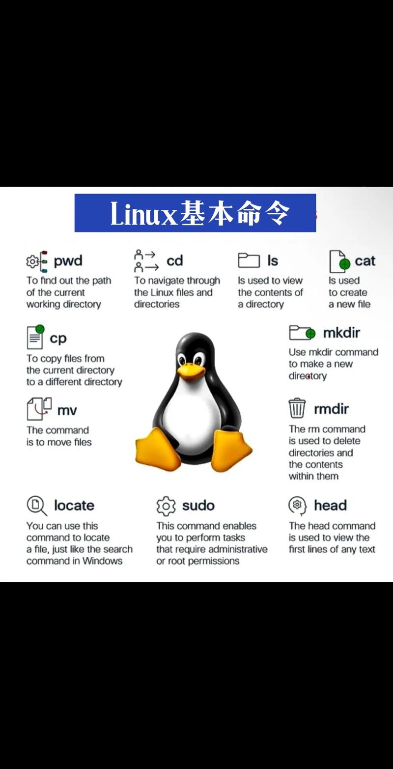 Linux server命令有哪些常用技巧?-图1 Linux server命令有哪些常用技巧?-图1