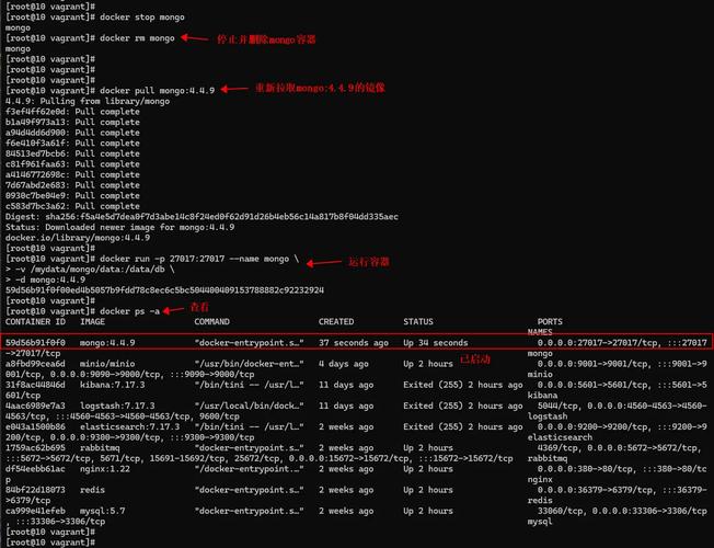 MongoDB update命令语法及使用场景?-图1 MongoDB update命令语法及使用场景?-图1