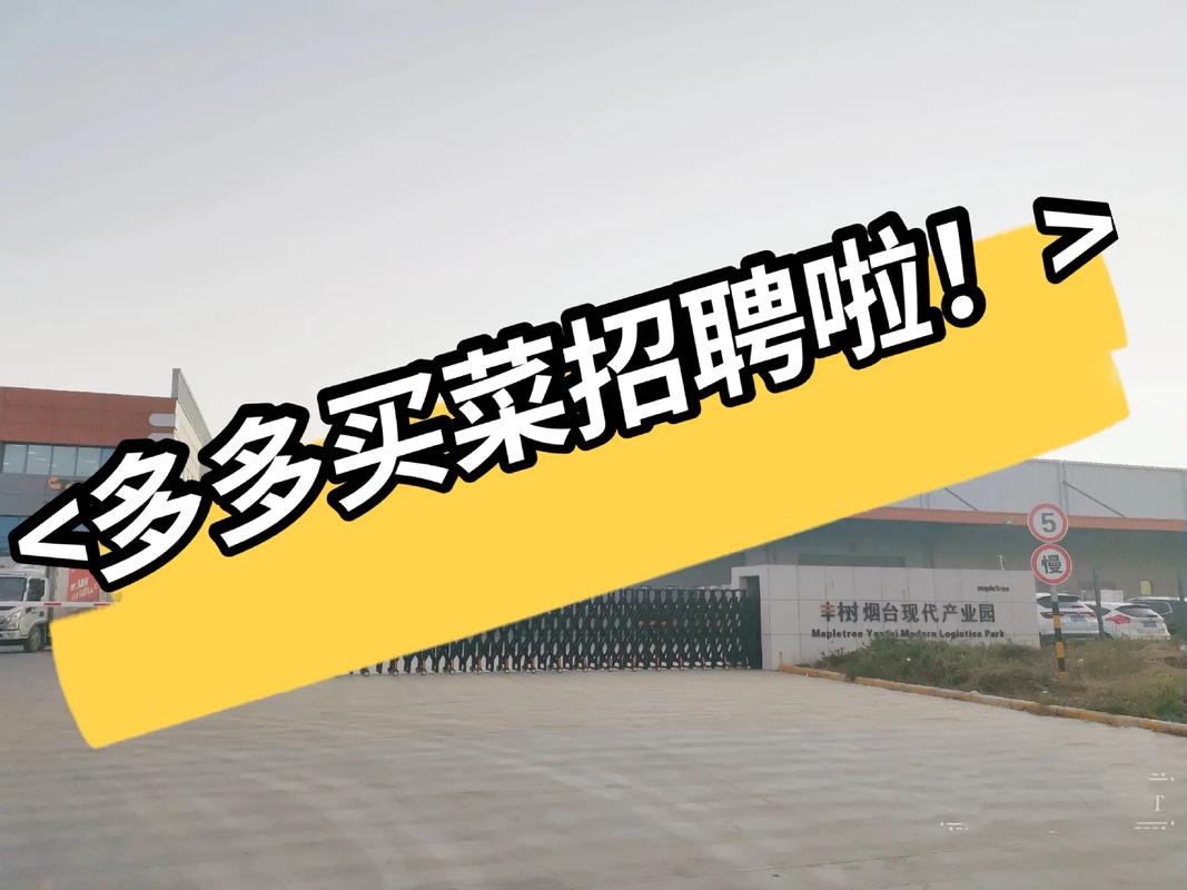 maple女装招聘，什么岗位在招？-图2