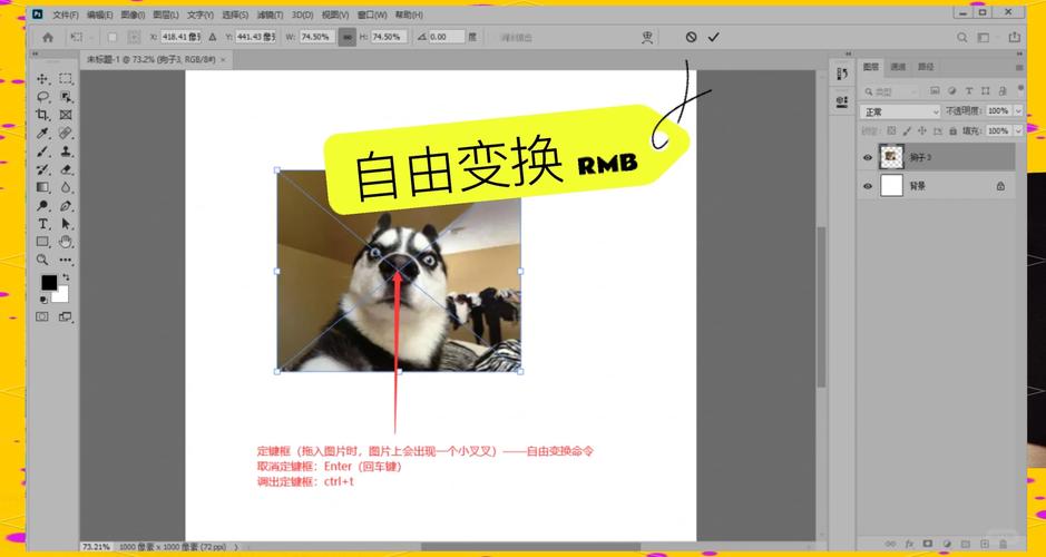 PS图片如何自由缩放?-图2 PS图片如何自由缩放?-图2