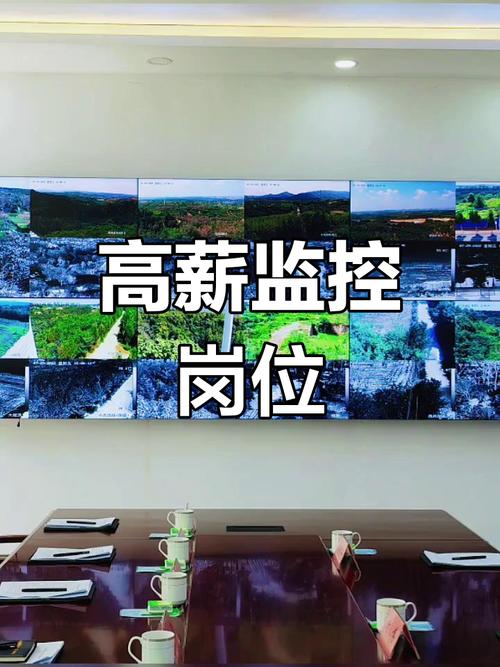 直播监控招聘,具体要求有哪些?-图2 直播监控招聘,具体要求有哪些?-图2