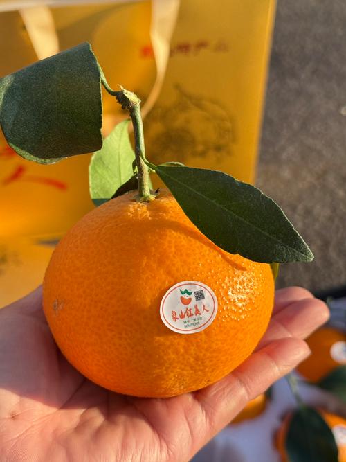 红美人柑橘今年价格走势如何？-图2