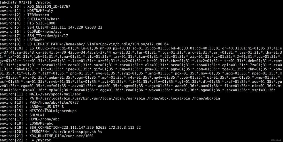 命令行如何查看所有环境变量?-图3 命令行如何查看所有环境变量?-图3