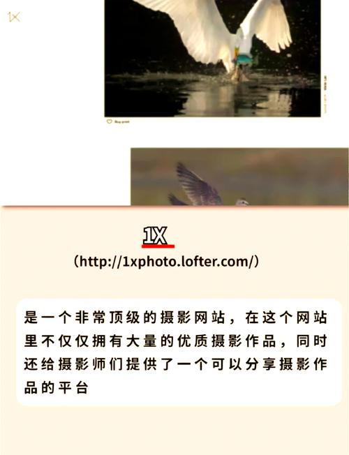 网站摄影如何拍出专业感与吸引力?-图1 网站摄影如何拍出专业感与吸引力?-图1