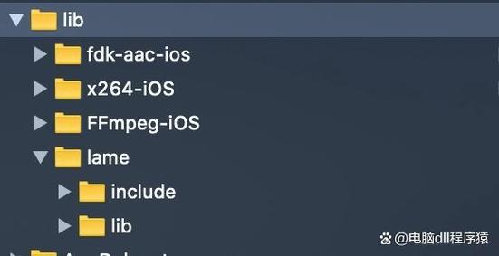 DLL调用为何引发堆栈错误？-图2