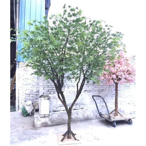 Maple Tree招聘,有哪些岗位要求?-图1 Maple Tree招聘,有哪些岗位要求?-图1