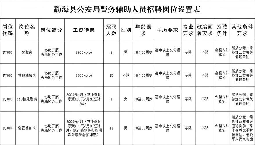 云南网警招聘有何具体要求？-图1