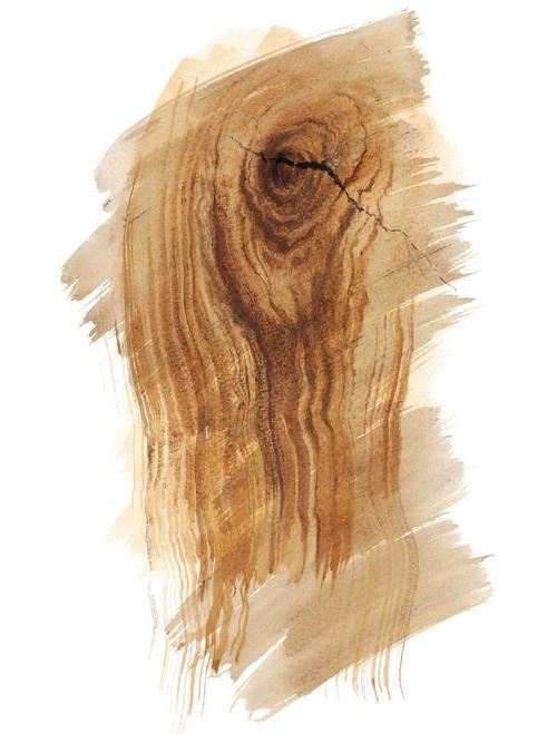 水彩木纹效果怎么画?-图1 水彩木纹效果怎么画?-图1