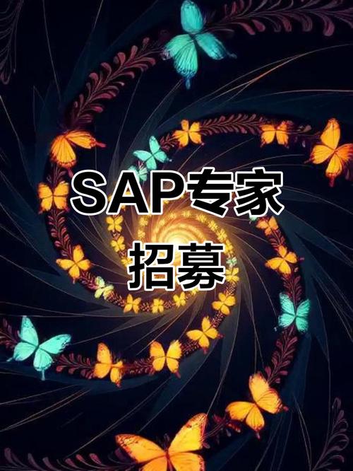 SAP DS招聘要求有哪些？-图3