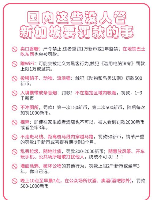 新加坡治老赖有何高招?-图1 新加坡治老赖有何高招?-图1