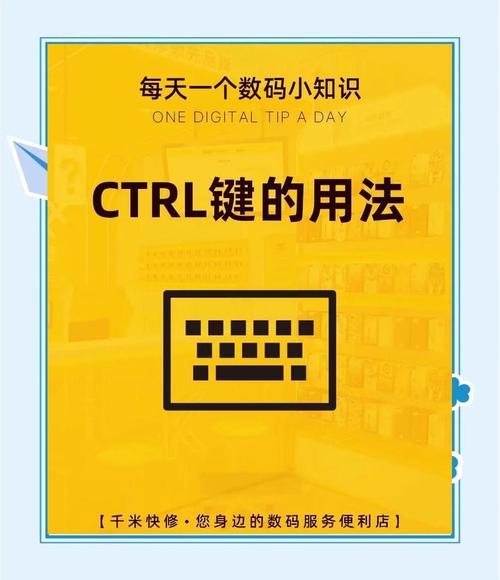 复制命令快捷键是什么?-图3 复制命令快捷键是什么?-图3