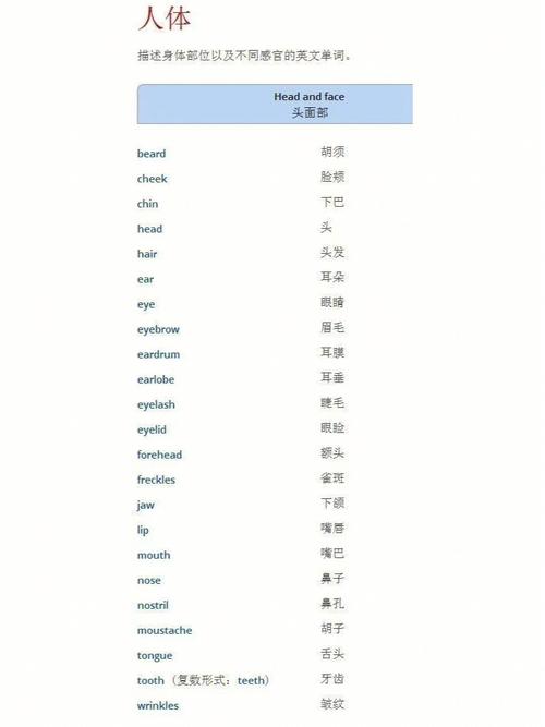他感觉如何英语如何正确表达?-图1 他感觉如何英语如何正确表达?-图1