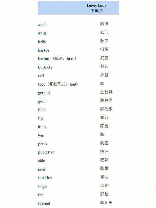 他感觉如何英语如何正确表达?-图2 他感觉如何英语如何正确表达?-图2