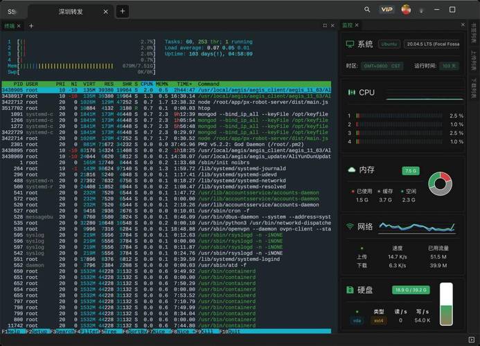 C命令行解析器有哪些实用实现方式？-图1