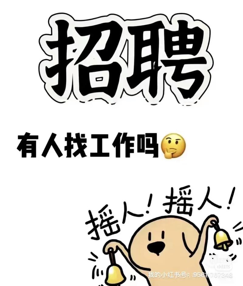 菜鸟招聘网最新招聘，有哪些岗位机会？-图3