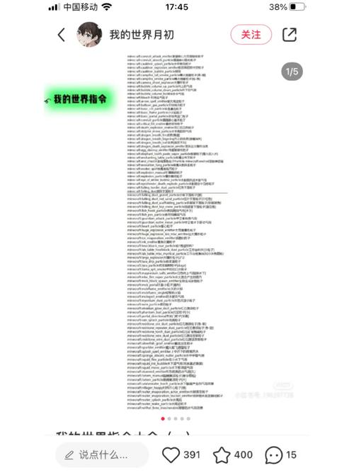 我的世界命令怎么输入？-图2
