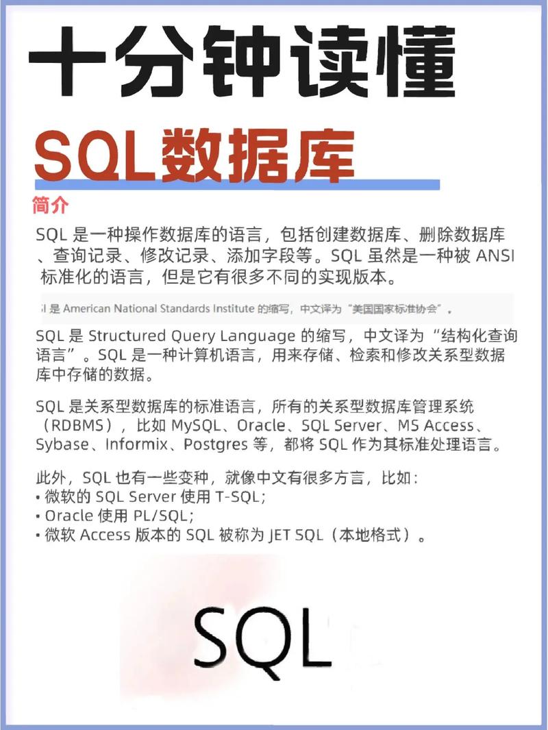 SSIS变量中SQL命令如何动态执行？-图3