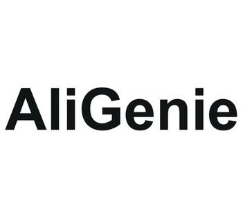 Aligenie招聘,岗位有何亮点?-图2 Aligenie招聘,岗位有何亮点?-图2