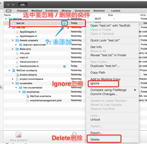svn忽略文件夹命令如何操作？-图1