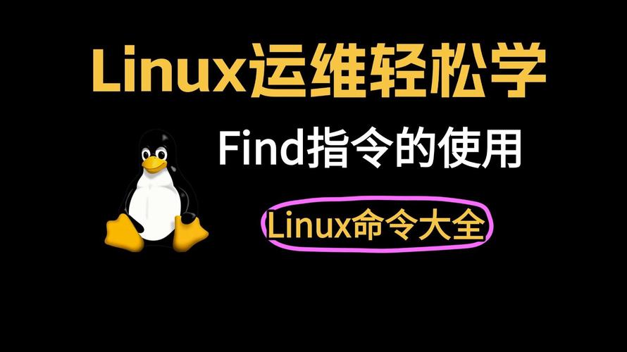 Linux查找文件命令find有哪些常用用法?-图1 Linux查找文件命令find有哪些常用用法?-图1