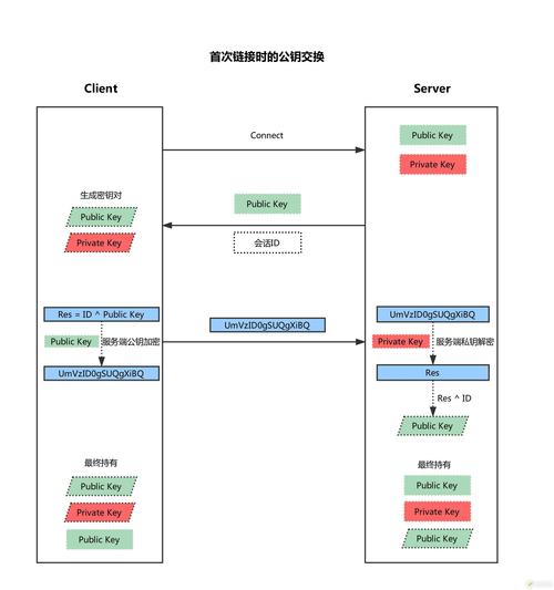 SSH登录后如何高效执行命令？-图1